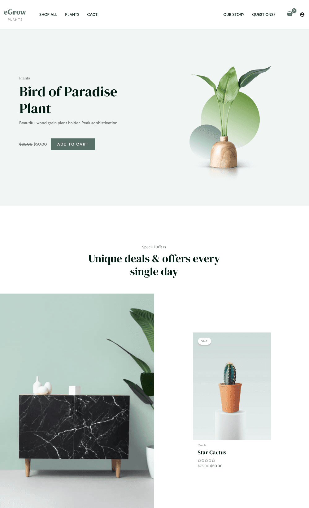 Plants online store