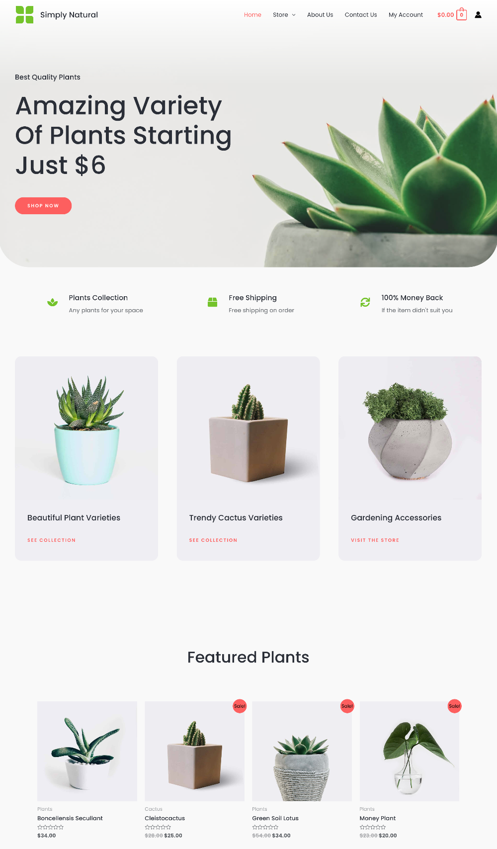 Plants online store